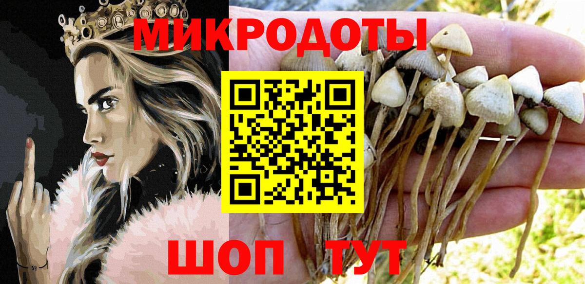 Псилоцибиновые грибы MAGIC MUSHROOMS Родники