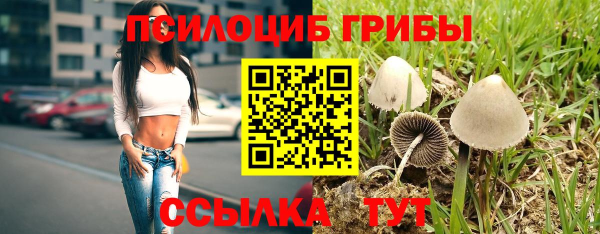 Галлюциногенные грибы мицелий  Вход с VPN  хочу   Родники 